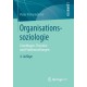 Organisationssoziologie: Grundlagen, Theorien und Problemstellungen