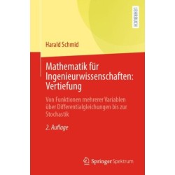 Mathematik fur Ingenieurwissenschaften: Vertiefung: Von Funktionen mehrerer Variablen uber Differentialgleichungen bis zur Stochastik