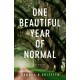 One Beautiful Year of Normal: A Novel