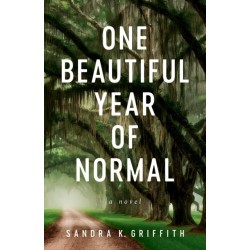 One Beautiful Year of Normal: A Novel