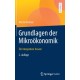 Grundlagen der Mikrookonomik: Ein integrativer Ansatz