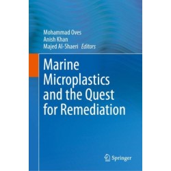 Marine Microplastics and the Quest for Remediation
