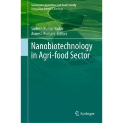 Nanobiotechnology in Agri-food Sector