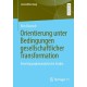 Orientierung unter Bedingungen gesellschaftlicher Transformation: Eine biographieanalytische Studie