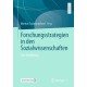 Forschungsstrategien in den Sozialwissenschaften: Eine Einfuhrung