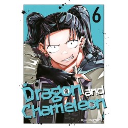Dragon and Chameleon 06