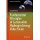 Fundamental Principles of Sustainable Hydrogen Energy Value Chain