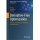 Derivative-Free Optimization: Theoretical Foundations, Algorithms, and Applications