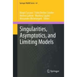 Singularities, Asymptotics, and Limiting Models