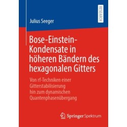 Bose-Einstein-Kondensate in hoheren Bandern des hexagonalen Gitters: Von rf-Techniken einer Gitterstabilisierung hin zum dynamischen Quantenphasenubergang