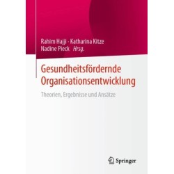Gesundheitsfordernde Organisationsentwicklung: Theorien, Ergebnisse und Ansatze