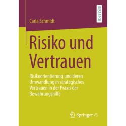 Risiko und Vertrauen: Risikoorientierung und deren Umwandlung in strategisches Vertrauen in der Praxis der Bewahrungshilfe