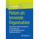 Polizei als lernende Organisation: Systemisches Polizeimanagement in Planungspraxis, Entscheidungsfindung und Handlungsoptionen