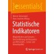Statistische Indikatoren: Moglichkeiten und Grenzen – Eine Einfuhrung mit Beispielen aus Wirtschafts-, Sozial- und Umweltpolitik
