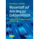 Wasserstoff auf dem Weg zur Elektromobilitat: Hautnah erlebt: Die Basisinnovation Brennstoffzelle