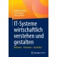 IT-Systeme wirtschaftlich verstehen und gestalten: Methoden – Paradoxien – Grundsatze