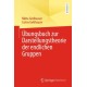 Ubungsbuch zur Darstellungstheorie der endlichen Gruppen