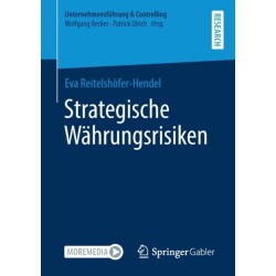 Strategische Wahrungsrisiken