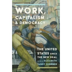 Work, Capitalism, and Democracy: The United States Since the New Deal
