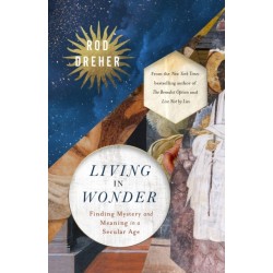 Living in Wonder: Finding Mystery and Meaning in a Secular Age