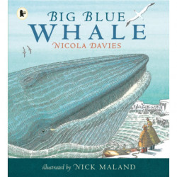Big Blue Whale: Award-winning picture book about the blue whale,  with a gentle story and fascinating facts