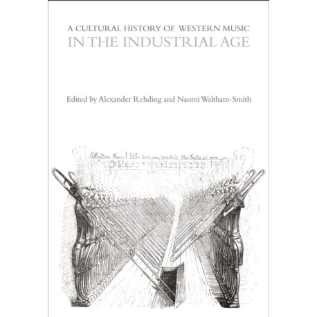 A Cultural History of Western Music in the Industrial Age