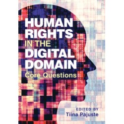 Human Rights in the Digital Domain: Core Questions