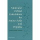 Molecular Orbital Calculations for Aminoacids and Peptides
