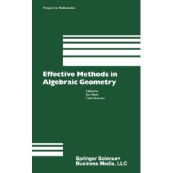 Effective Methods in Algebraic Geometry