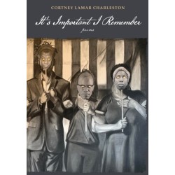 It's Important I Remember: Poems