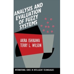 Analysis and Evaluation of Fuzzy Systems