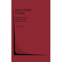 Regulating Power: Economics of Electricity in the Information Age