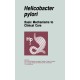 Helicobacter Pylori: Basic Mechanisms to Clinical Cure