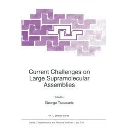 Current Challenges on Large Supramolecular Assemblies