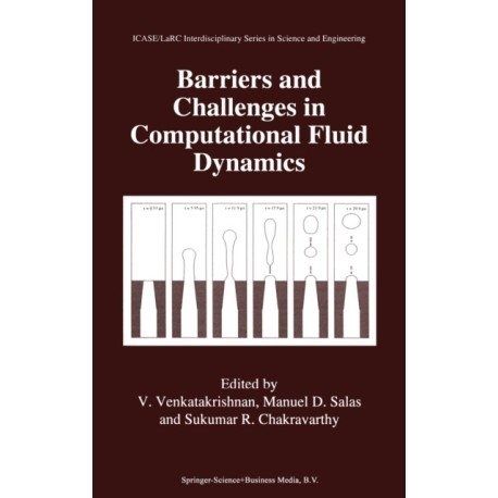 Barriers and Challenges in Computational Fluid Dynamics