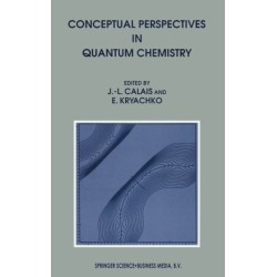 Conceptual Perspectives in Quantum Chemistry