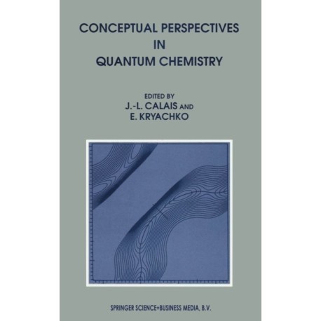 Conceptual Perspectives in Quantum Chemistry