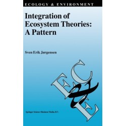 Integration of Ecosystem Theories: A Pattern