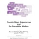 Cosmic Rays, Supernovae and the Interstellar Medium: International Proceedings