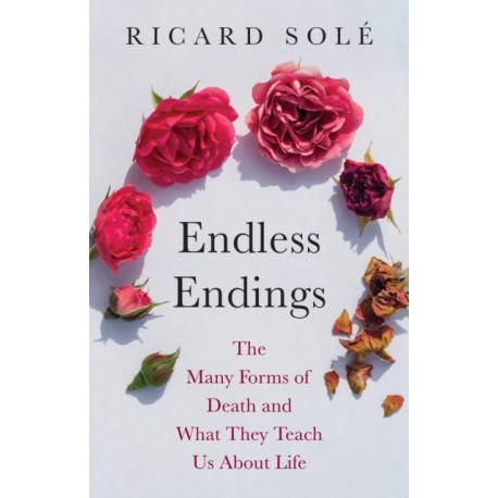 Endless Endings: The Many Forms of Death and What They Teach Us About Life