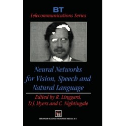 Neural Networks for Vision, Speech and Natural Language