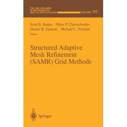 Structured Adaptive Mesh Refinement (SAMR) Grid Methods