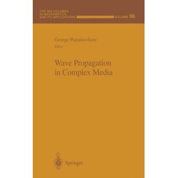 Wave Propagation in Complex Media