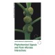 Phytochemical Signals and Plant-Microbe Interactions: Proceedings of a Joint Meeting of the Phytochemical Society of Europe Held in Noordwijkerhout, the Netherlands, April 20-23, 1997