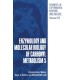 Enzymology and Molecular Biology of Carbonyl Metabolism