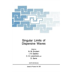 Singular Limits of Dispersive Waves: Proceedings of a NATO ARW and a Chaos, Order and Patterns Panel-sponsored Workshop Held in Lyons, France, July 8-12, 1991