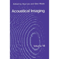 Acoustical Imaging