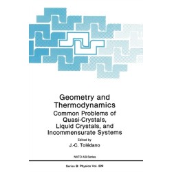 Geometry and Thermodynamics: Common Problems of Quasi-crystals, Liquid Crystals and Incommensurate Systems - Workshop Proceedings