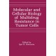 Molecular and Cellular Biology of Multidrug Resistance in Tumour Cells