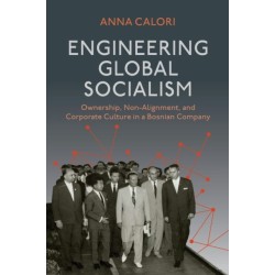 The Engineering Global Socialism: Ownership, Non-Alignment, and Corporate Culture in a Bosnian Company